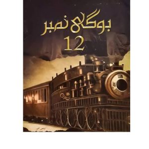 Bogi No 12 by Mehrulnisa Shahmeer