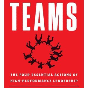 Unstoppable Teams: The Four Essential Actions of High-Performance Leadership by Alden Mills