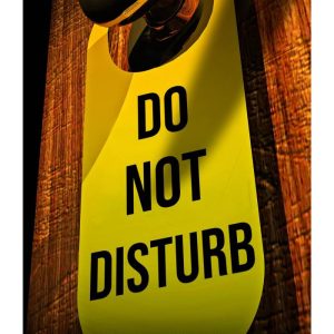 Do Not Disturb by Freida McFadden